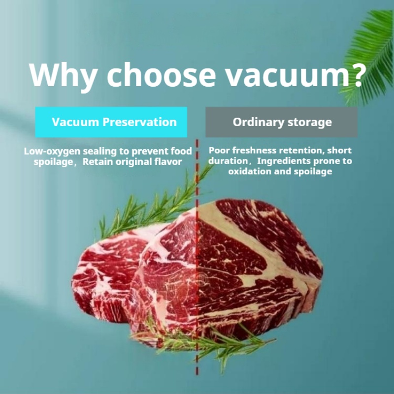 Tischkammer-Vakuumiergerät, ko – Food Vacuum Sealer Machine Bewertung und Preis
