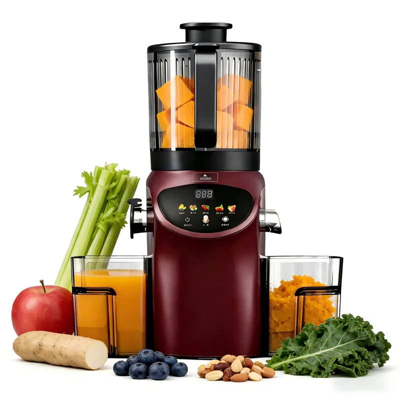 Hochwertige elektrische 6,30-Z – Electric Slow Juicer Cold Press Bewertung und Preis